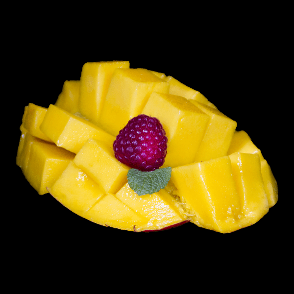 Mangue