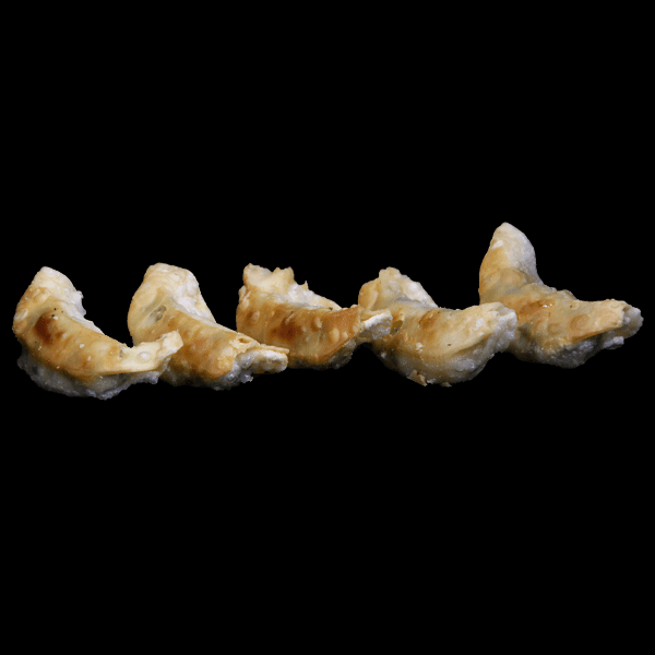 Gyoza &#8211; Poulet et légumes (5 pièces)