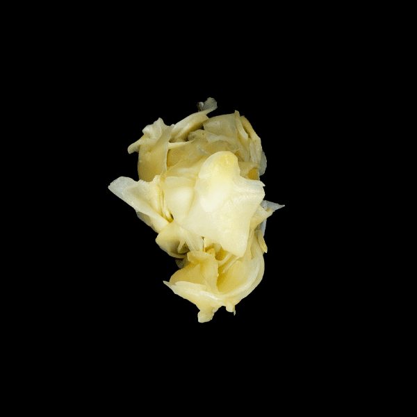 Gingembre